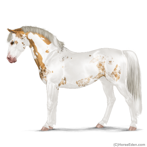 genpic.php?id=29114477&bg=4&decor=Y&v=2