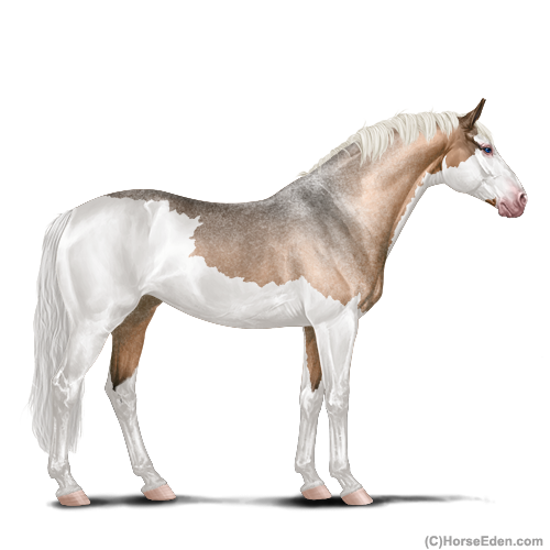 genpic.php?id=29457013&bg=4&decor=Y&v=16