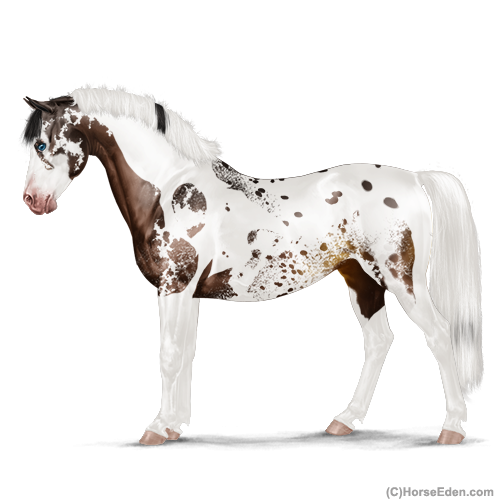 genpic.php?id=29471690&bg=4&decor=Y&v=1