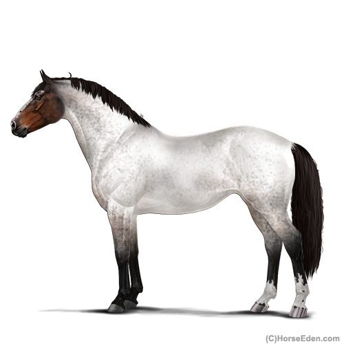 genpic.php?id=30737217&bg=4&decor=Y&v=16