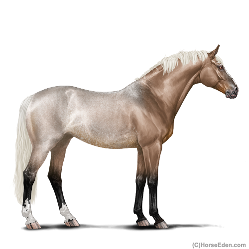 genpic.php?id=31140561&bg=6&decor=Y&tm=1681496000