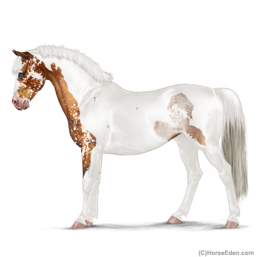 genpic.php?id=31153044&bg=4&decor=Y&v=1