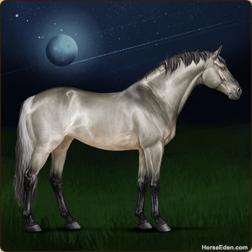 genpic.php?id=32730017&bg=79&decor=Y&tm=1696340455