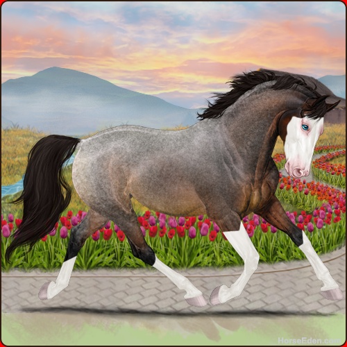 genpic.php?id=34439916&bg=79&decor=Y&tm=1704241313