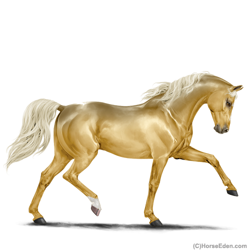 https://horseeden.com/horse.php?id=34590927