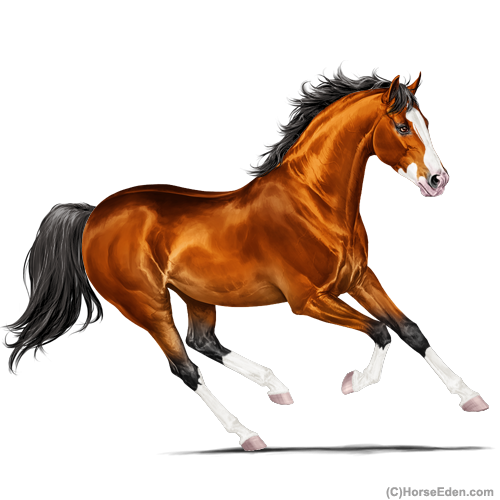 genpic.php?id=36258517&bg=6&decor=Y&tm=1701552396