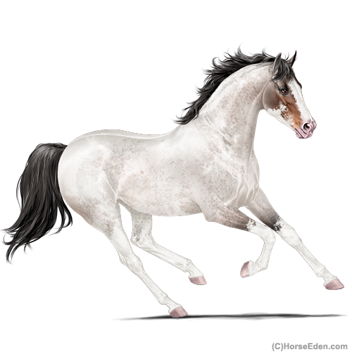 genpic.php?id=36258658&bg=6&decor=Y&tm=1701552928