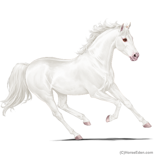 genpic.php?id=36258777&bg=6&decor=Y&tm=1701552947