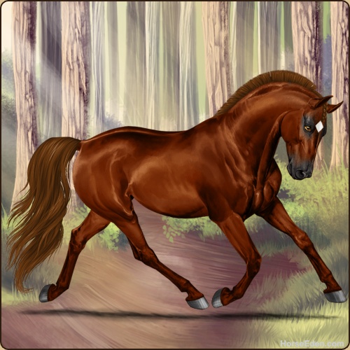 genpic.php?id=36629952&bg=56&decor=Y&tm=1748771558