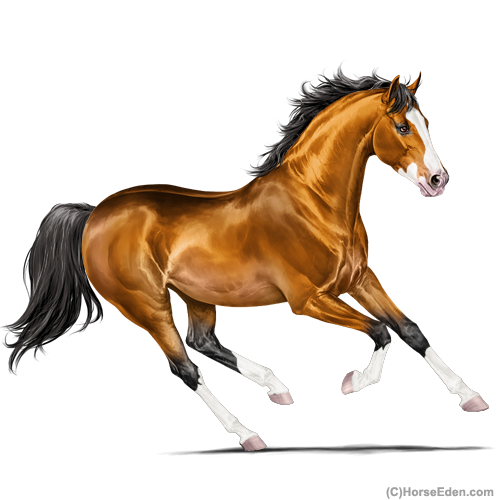 genpic.php?id=36842138&bg=6&decor=Y&tm=1707089420