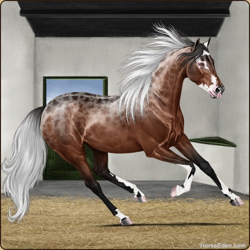 genpic.php?id=36941235&bg=6&decor=Y&tm=1707089457