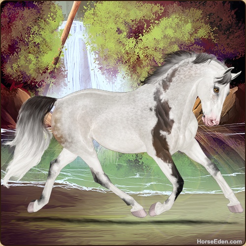 genpic.php?id=37180398&bg=100&decor=Y&tm=1715653373