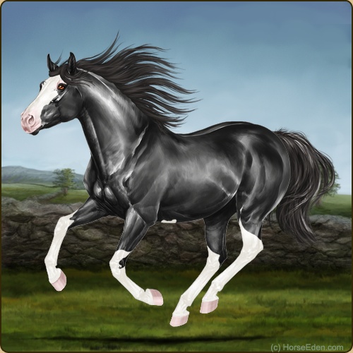 genpic.php?id=37202052&bg=4&decor=Y&v=136