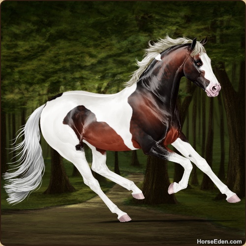 genpic.php?id=38731698&bg=79&decor=Y&v=14