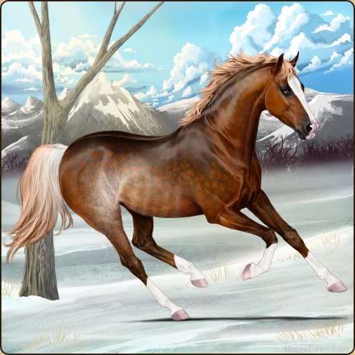 genpic.php?id=39086376&bg=95&decor=Y&v=1761029577