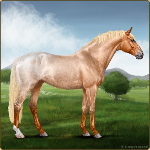 genpic.php?id=39556990&bg=56&decor=Y&v=9