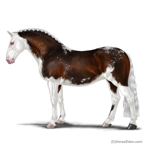 genpic.php?id=40223650&tm=1762595215