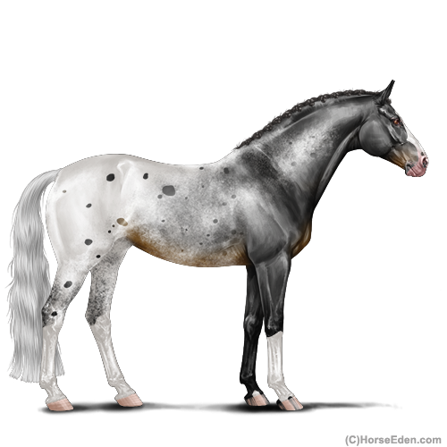 genpic.php?id=40391894&bg=1001&decor=Y&v=25