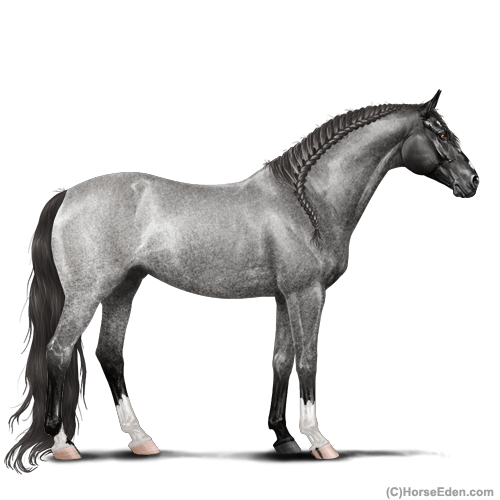 genpic.php?id=40706658&bg=1001&decor=Y&v=62