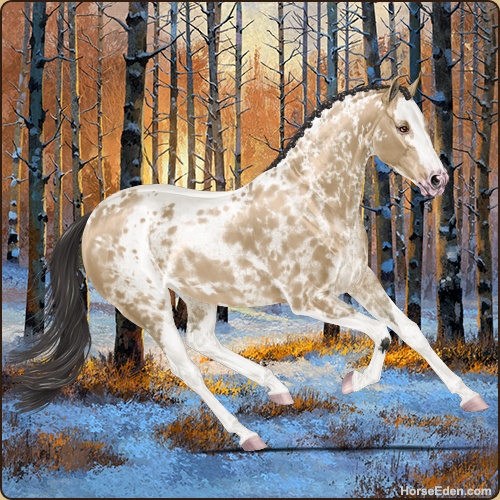 genpic.php?id=40922338&bg=132&decor=Y&v=18