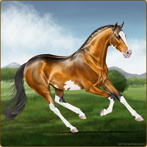 genpic.php?id=40924857&bg=56&decor=Y&v=4