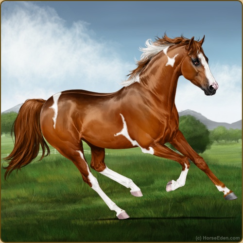 genpic.php?id=41017425&bg=56&decor=Y&v=4