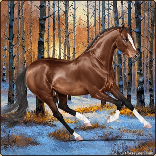 genpic.php?id=41181103&bg=132&decor=Y&v=63