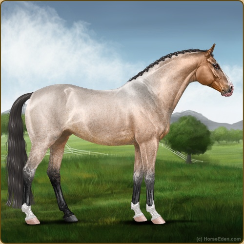 genpic.php?id=41388293&bg=56&decor=Y&v=53