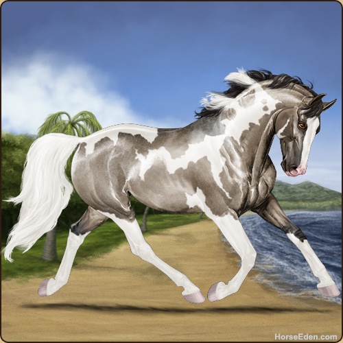 genpic.php?id=41472290&bg=58&decor=Y&v=2