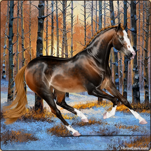 genpic.php?id=41506162&bg=132&decor=Y&v=27