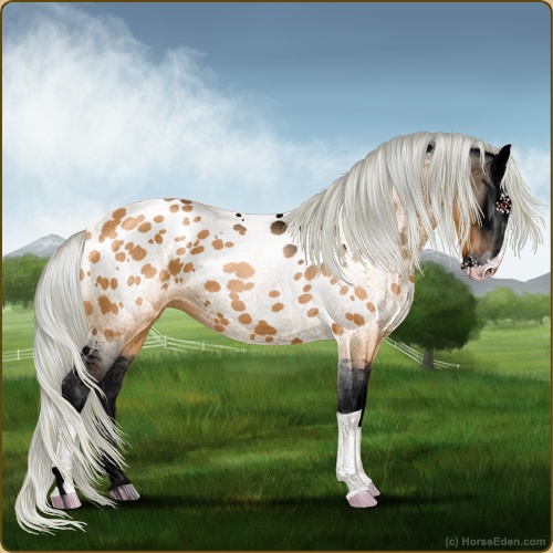 genpic.php?id=41548153&bg=79&decor=Y&v=4