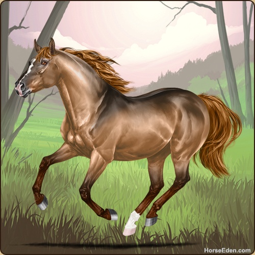 genpic.php?id=41614280&bg=1000&decor=Y&v=27