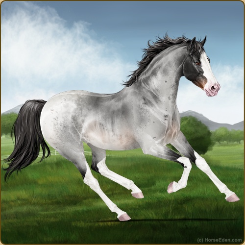 genpic.php?id=41713411&bg=56&decor=Y&v=9
