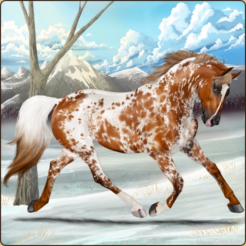 genpic.php?id=41727432&bg=95&decor=Y&v=1759337107