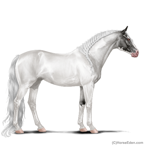 genpic.php?id=41765100&bg=1001&decor=Y&v=150