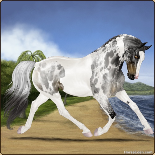 genpic.php?id=41782063&bg=58&decor=Y&v=9