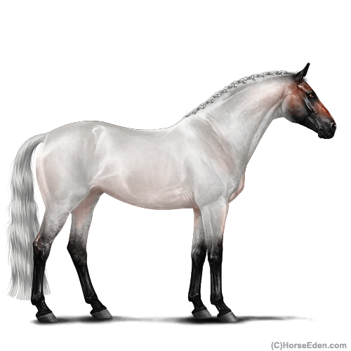 genpic.php?id=41788570&bg=1001&decor=Y&v=22