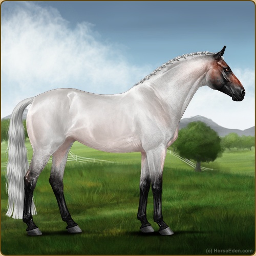 genpic.php?id=41788570&bg=56&decor=Y&v=1