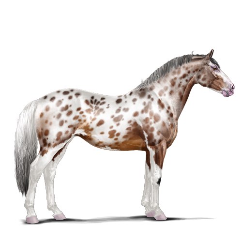 genpic.php?id=41946224&bg=1001&decor=Y&v=1&tran=Y&&flip2=Y