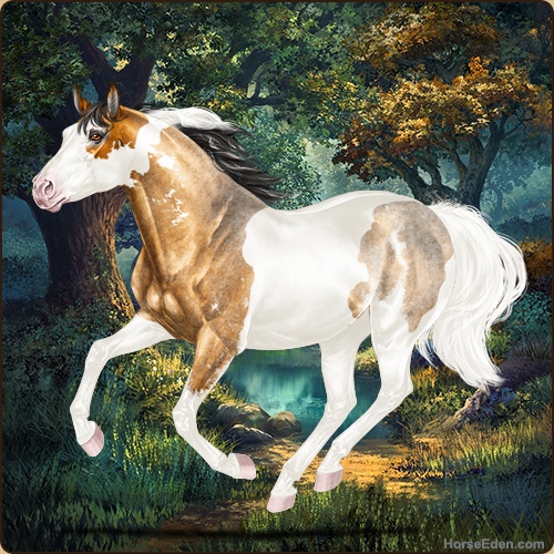 genpic.php?id=41949680&bg=79&decor=Y&v=16