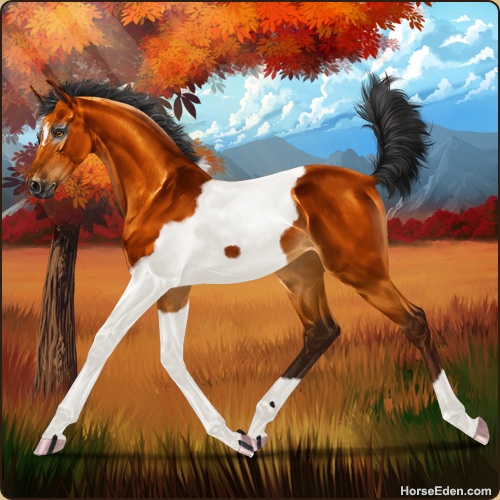 genpic.php?id=42186846&bg=95&decor=Y&v=1762809841