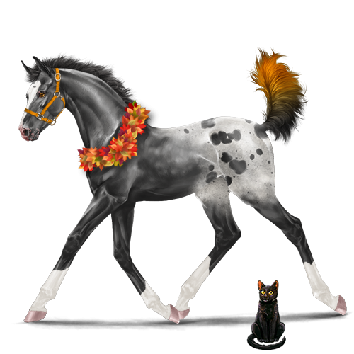 genpic.php?id=42190142&bg=1001&decor=Y&v=26&tran=Y&