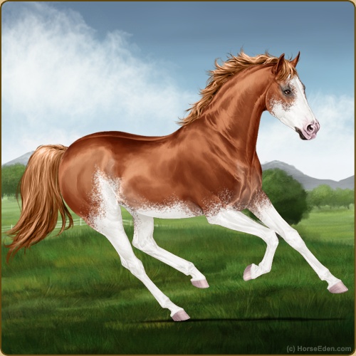 genpic.php?id=42418528&bg=56&decor=Y&v=14