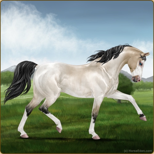 genpic.php?id=42418752&bg=56&decor=Y&v=10