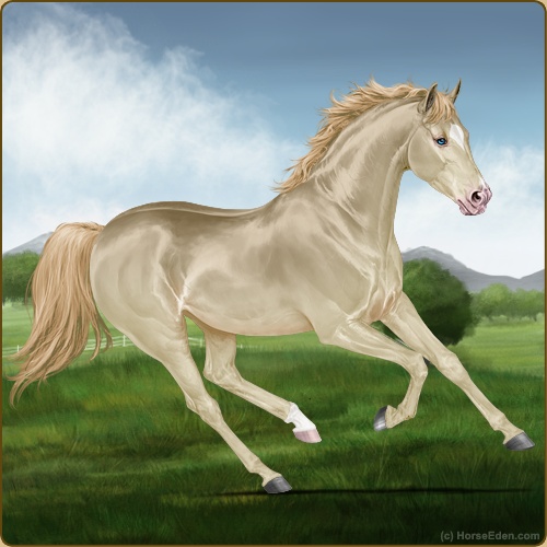 genpic.php?id=42448619&bg=56&decor=Y&v=14