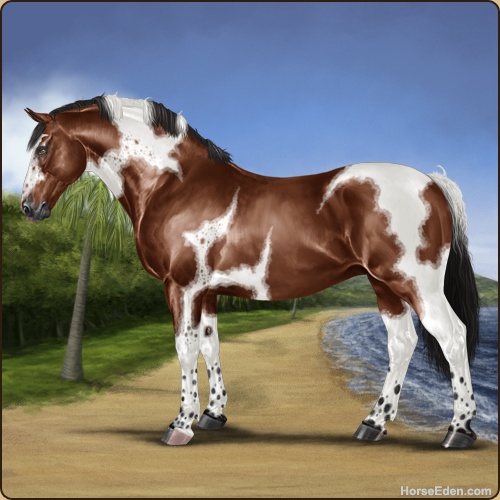 genpic.php?id=42551819&bg=58&decor=Y&v=6