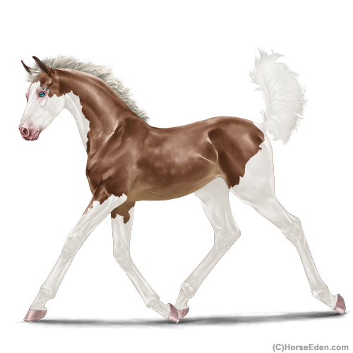 genpic.php?id=42554294&bg=1001&decor=Y&v=4