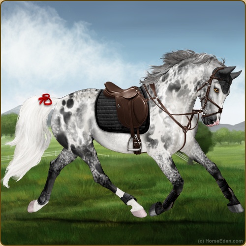 genpic.php?id=42612200&bg=56&decor=Y&v=18