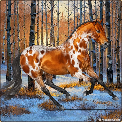 genpic.php?id=42713973&bg=132&decor=Y&v=82