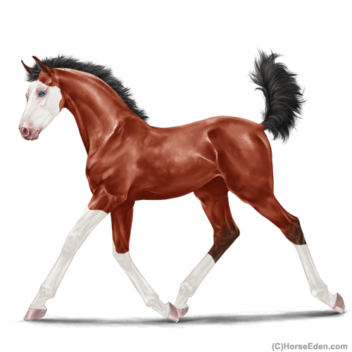 genpic.php?id=42811460&bg=1001&decor=Y&v=2